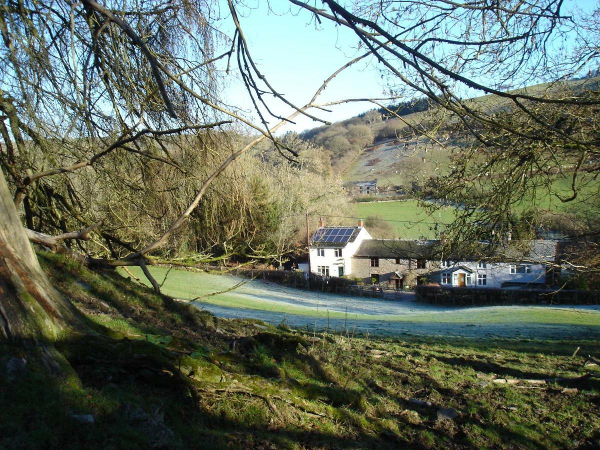 Rose Cottage Dutlas Knighton  Zewnętrze zdjęcie
